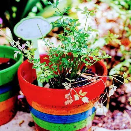 Garden House By Feetup Hostel
